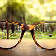 Beruflich Selbstständig werden. Wege erkennen und fokussiert handeln.