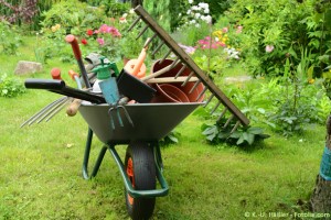 Gärtnerlehre: Arbeitsplatz Natur pur!