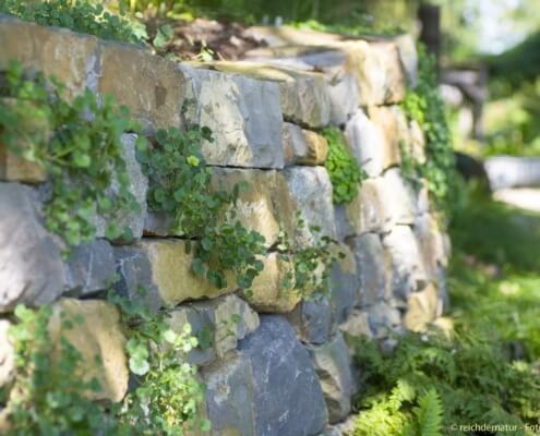 Der Gartenarchitekt gestaltet natürliche Zukunft